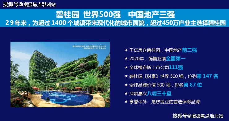 新澳天天开好彩大全精选解析、解释与落实、定量解答解释落实