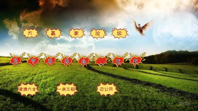 4949澳门今晚上开奖精选解析、解释与落实、统计解答解释落实